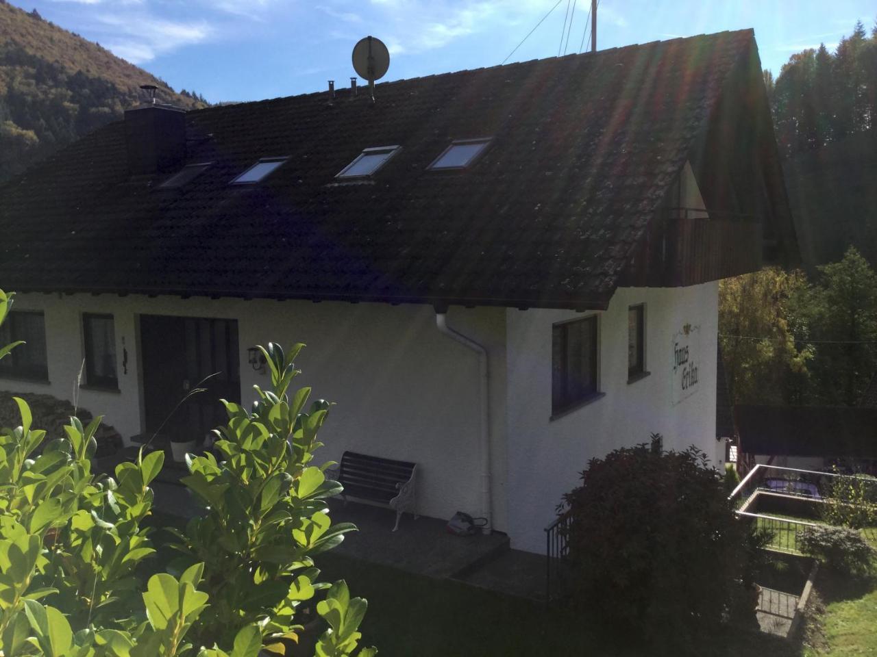 Erikas Haus Apartment Muenstertal Luaran gambar