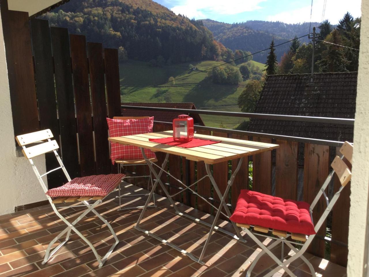 Erikas Haus Apartment Muenstertal Luaran gambar
