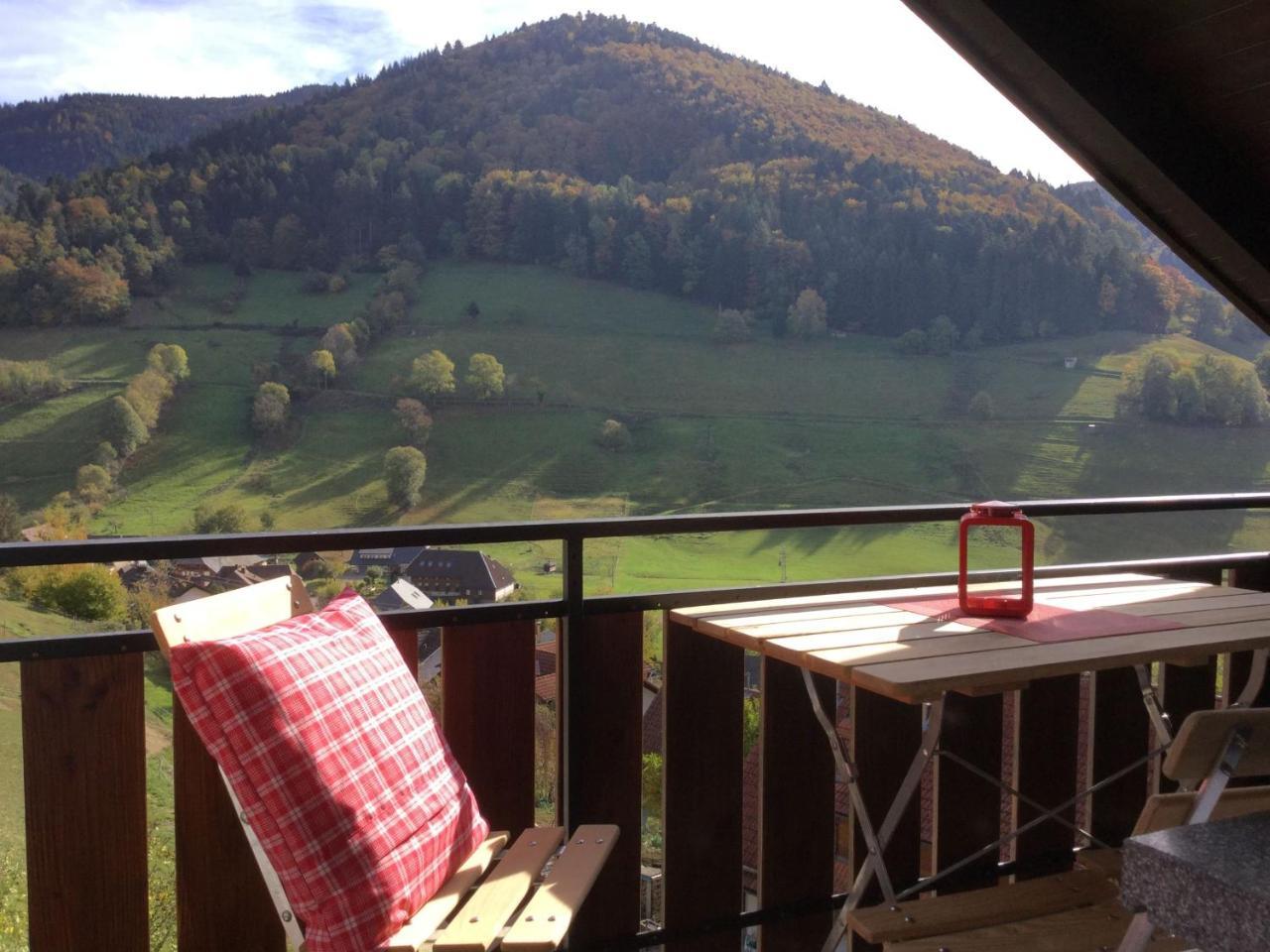 Erikas Haus Apartment Muenstertal Luaran gambar