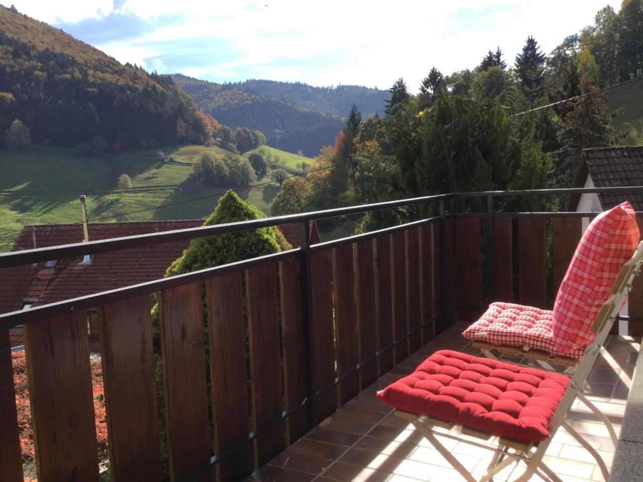 Erikas Haus Apartment Muenstertal Luaran gambar