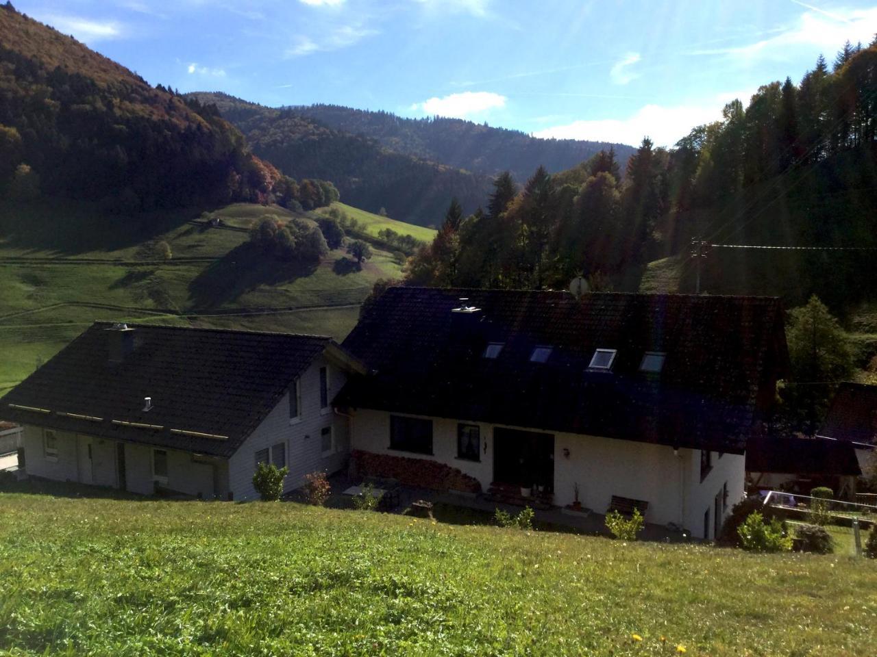 Erikas Haus Apartment Muenstertal Luaran gambar