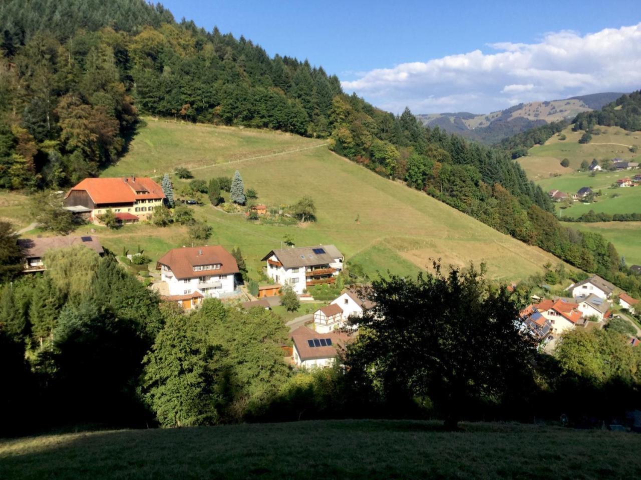 Erikas Haus Apartment Muenstertal Luaran gambar