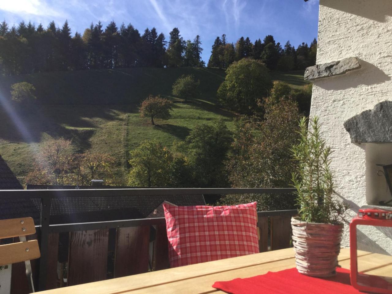 Erikas Haus Apartment Muenstertal Luaran gambar