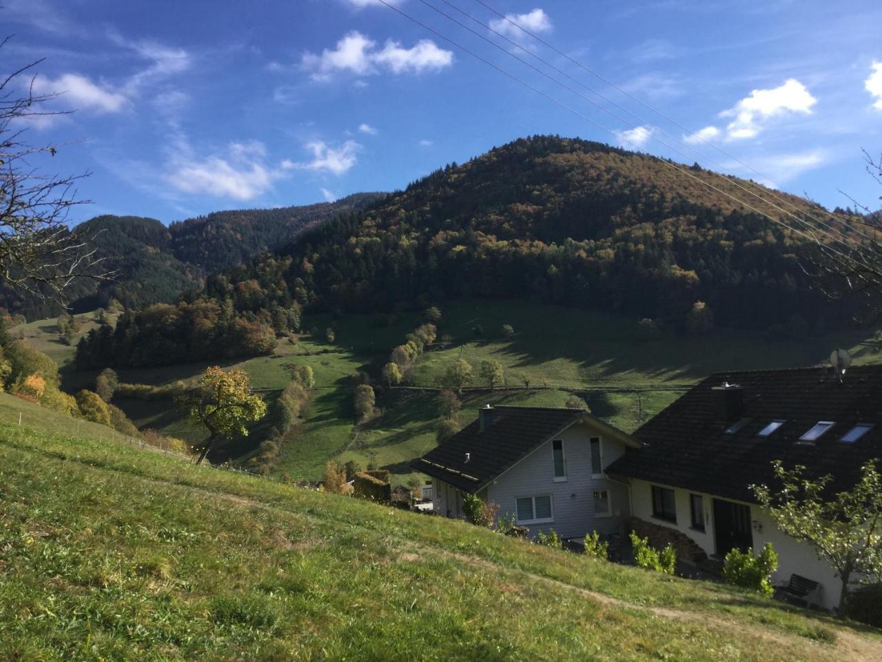 Erikas Haus Apartment Muenstertal Luaran gambar
