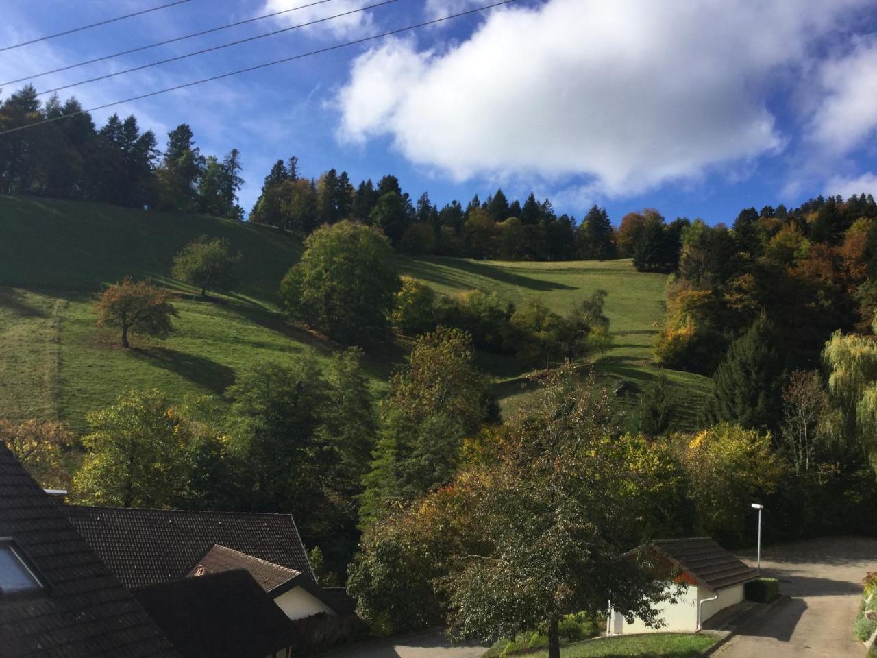 Erikas Haus Apartment Muenstertal Luaran gambar