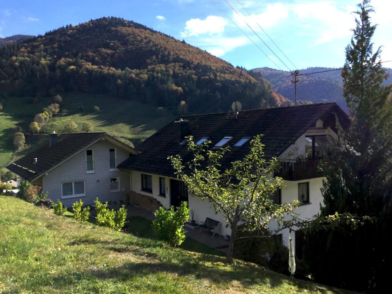 Erikas Haus Apartment Muenstertal Luaran gambar