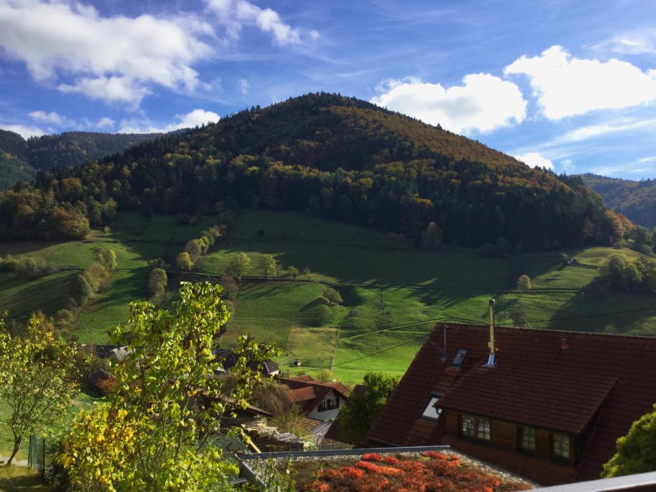 Erikas Haus Apartment Muenstertal Luaran gambar