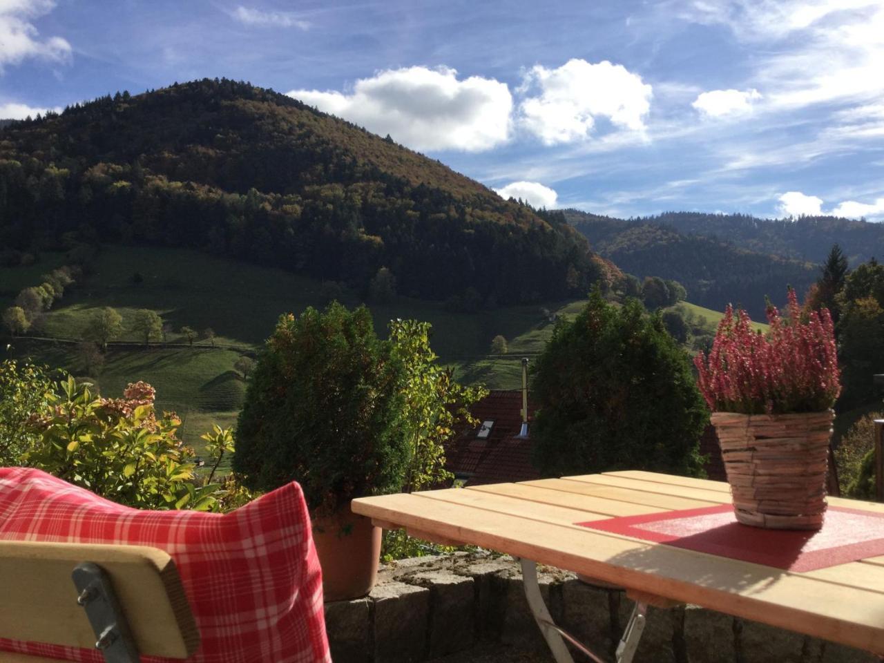Erikas Haus Apartment Muenstertal Luaran gambar